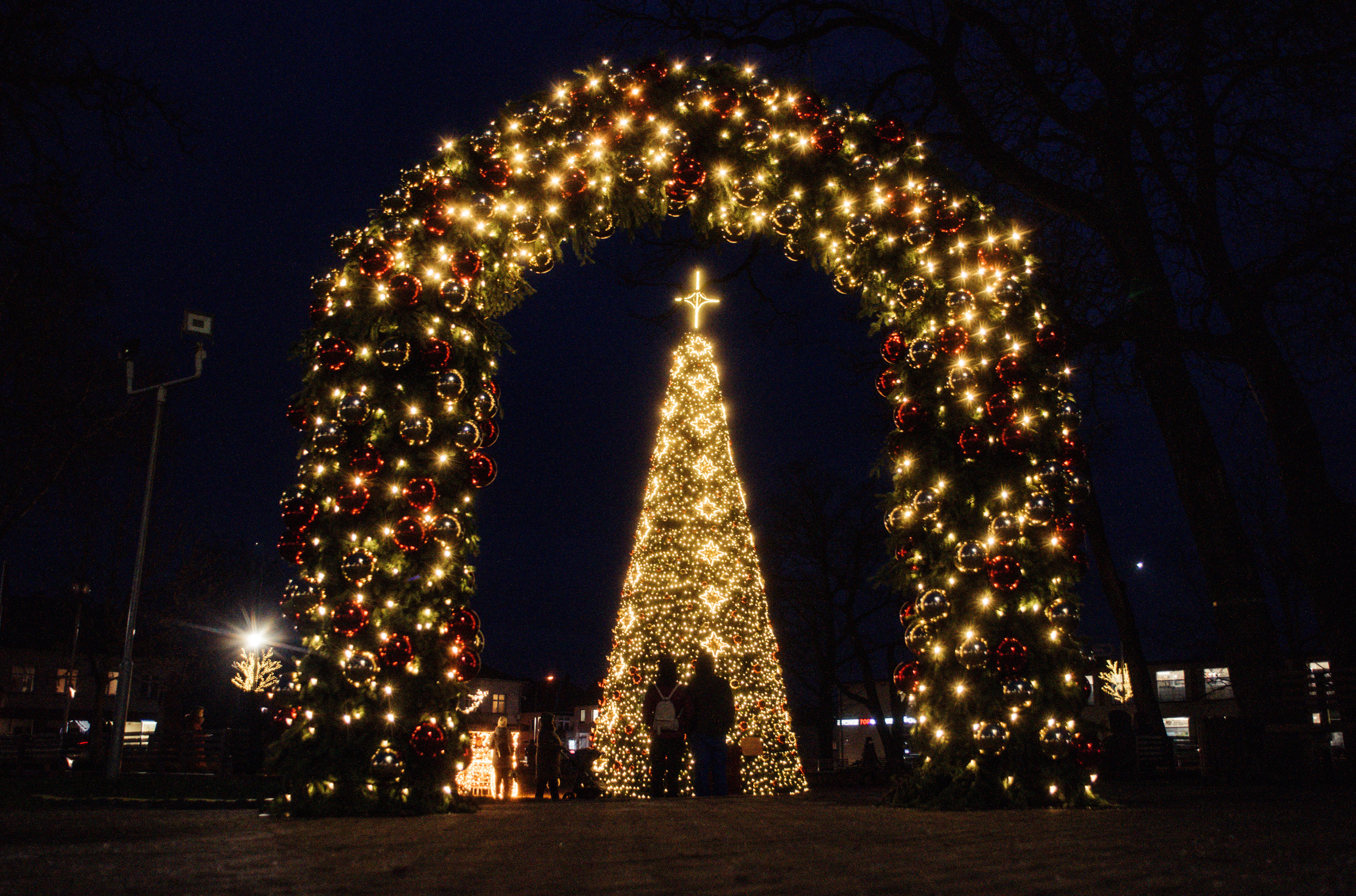 The main Christmas tree of Kretinga town was lit